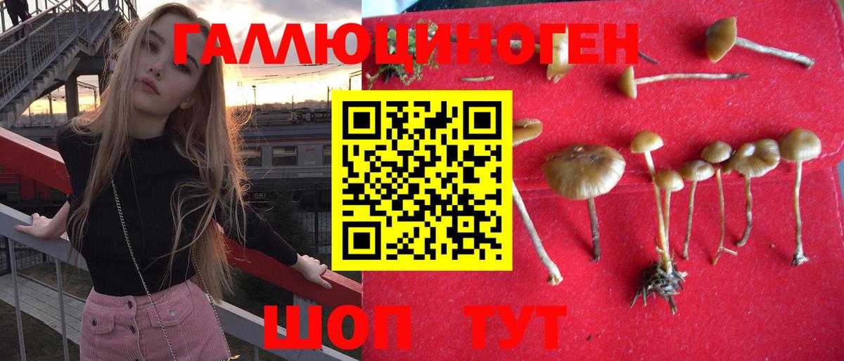 Оренбург  Галлюциногенные грибы ЛСД  Галлюциногенные грибы мухоморы  Вход с VPN 