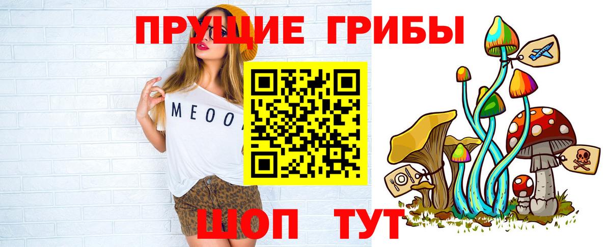 Псилоцибиновые грибы Cubensis Оренбург